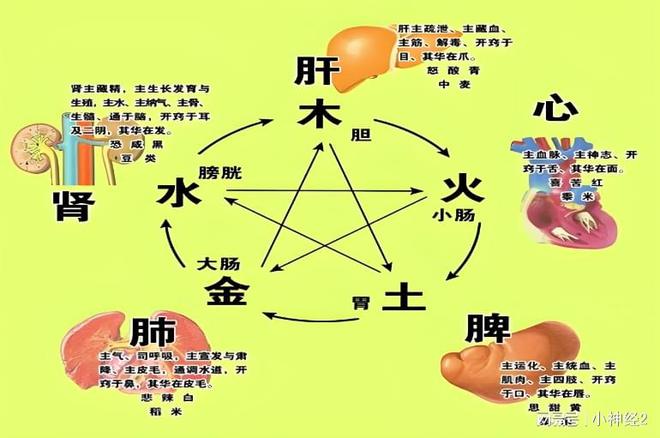 ҽɭΪθøСЧ(ͼ2)